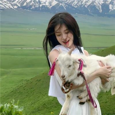 美好条纹